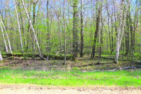 27152 Ode Circle Browerville MN 56438