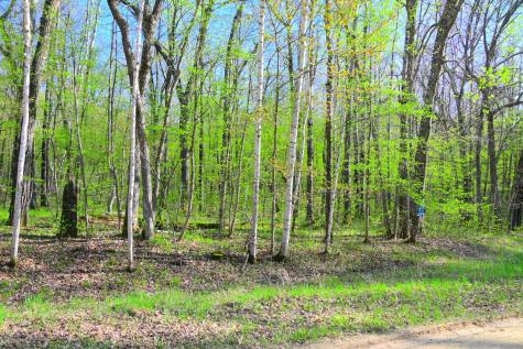 27152 Ode Circle Browerville MN 56438