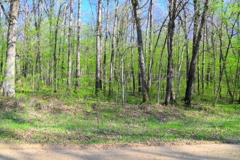 27152 Ode Circle Browerville MN 56438