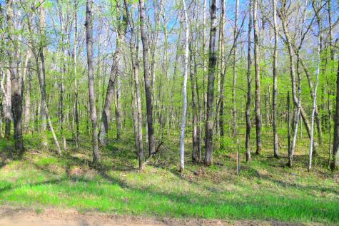 27152 Ode Circle Browerville MN 56438
