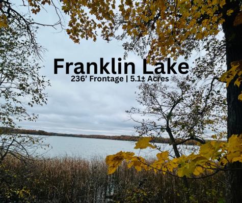 Tbd E Lake Lizzie Road Pelican Rapids MN 56572