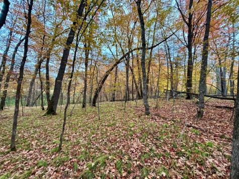 Tbd E Lake Lizzie Road Pelican Rapids MN 56572