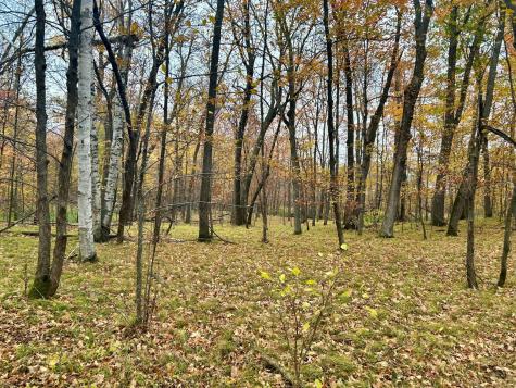 Tbd E Lake Lizzie Road Pelican Rapids MN 56572