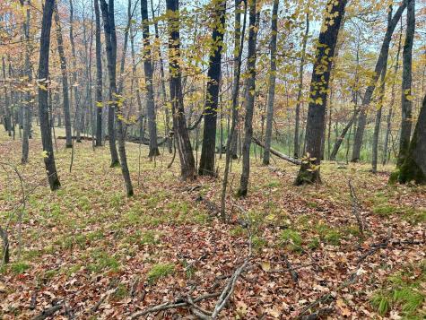 Tbd E Lake Lizzie Road Pelican Rapids MN 56572