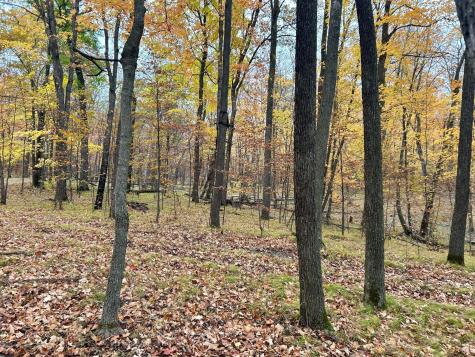 Tbd E Lake Lizzie Road Pelican Rapids MN 56572