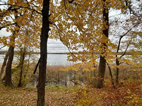 Tbd E Lake Lizzie Road Pelican Rapids MN 56572