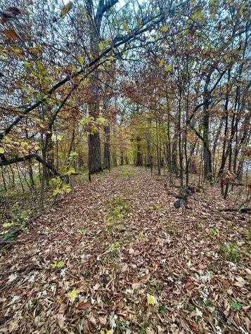 Tbd E Lake Lizzie Road Pelican Rapids MN 56572