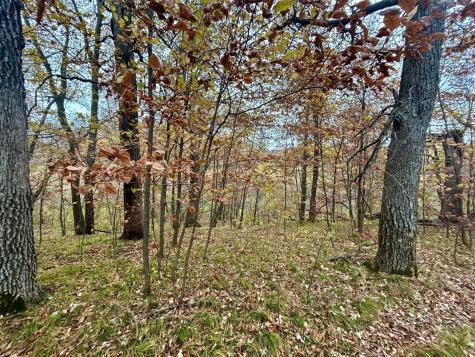 Tbd E Lake Lizzie Road Pelican Rapids MN 56572