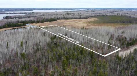TBD Parcel 14 Highway 115 Tower MN 55790