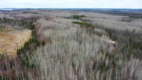 TBD Parcel 14 Highway 115 Tower MN 55790