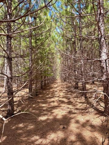 Lot 2 Scenic Highway 7 Bovey MN 55709
