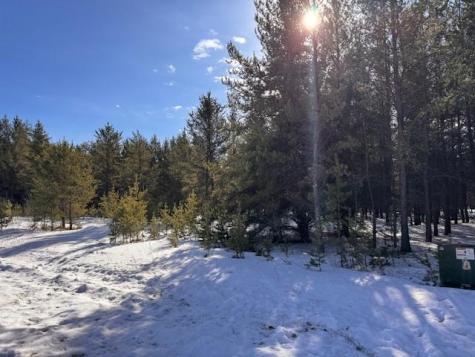 Tbd Pine Cone Drive Menahga MN 56464