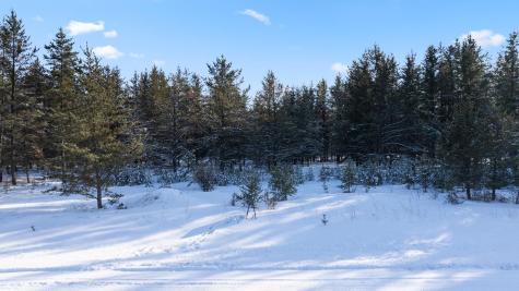 Tbd Pine Cone Drive Menahga MN 56464