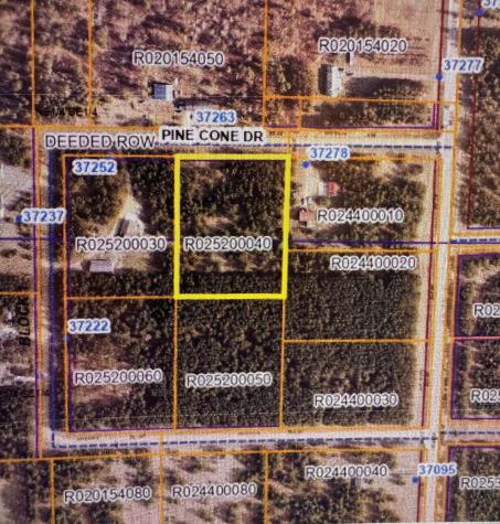 Tbd Pine Cone Drive Menahga MN 56464