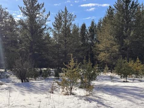 Tbd Pine Cone Drive Menahga MN 56464