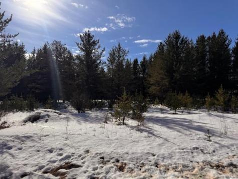 Tbd Pine Cone Drive Menahga MN 56464
