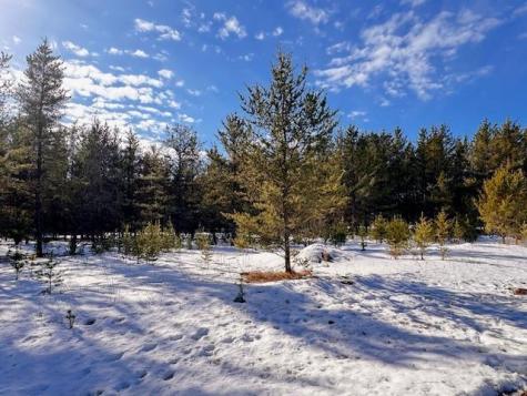 Tbd Pine Cone Drive Menahga MN 56464