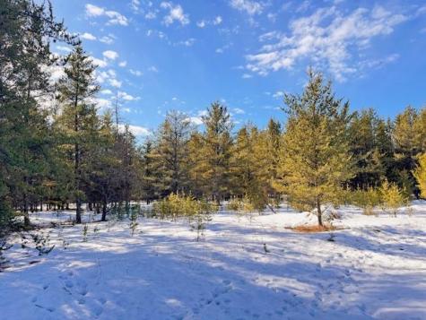 Tbd Pine Cone Drive Menahga MN 56464