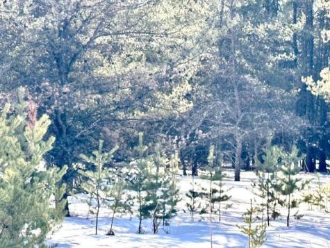 Tbd Pine Cone Drive Menahga MN 56464