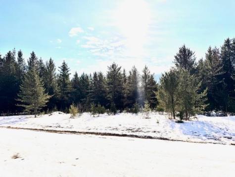 Tbd Pine Cone Drive Menahga MN 56464