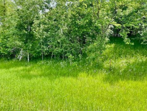 T134-R37 Sec.30 / Highway 67 Highway 67 Henning MN 56551