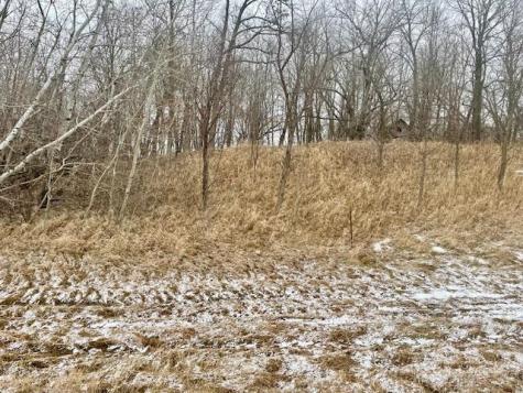 T134-R37 Sec.30 / Highway 67 Highway 67 Henning MN 56551