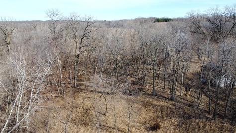 T134-R37 Sec.30 / Highway 67 Highway 67 Henning MN 56551