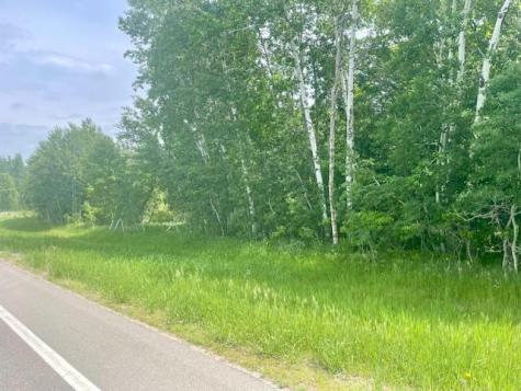 T134-R37 Sec.30 / Highway 67 Highway 67 Henning MN 56551