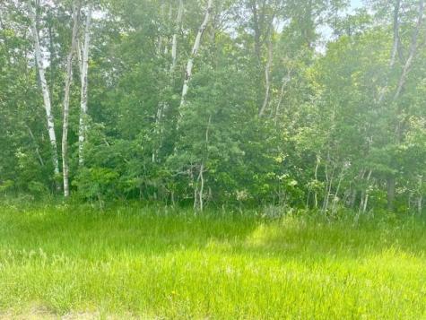 T134-R37 Sec.30 / Highway 67 Highway 67 Henning MN 56551