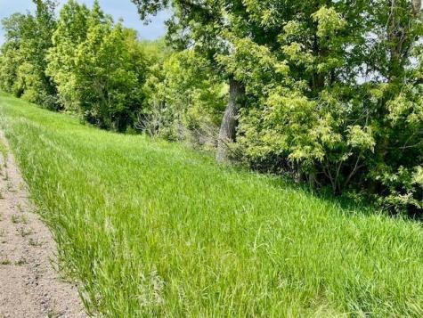 T134-R37 Sec.30 / Highway 67 Highway 67 Henning MN 56551