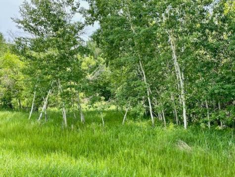T134-R37 Sec.30 / Highway 67 Highway 67 Henning MN 56551