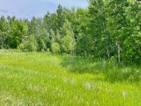 T134-R37 Sec.30 / Highway 67 Highway 67 Henning MN 56551