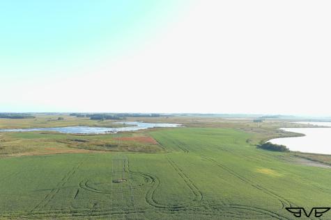 TBD County Road 1 Hankinson ND 58041