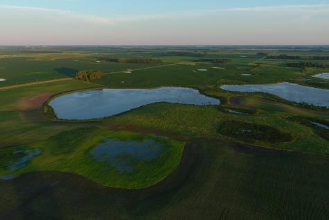 Tbd County Road 1 Hankinson ND 58041