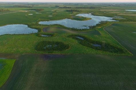 Tbd County Road 1 Hankinson ND 58041
