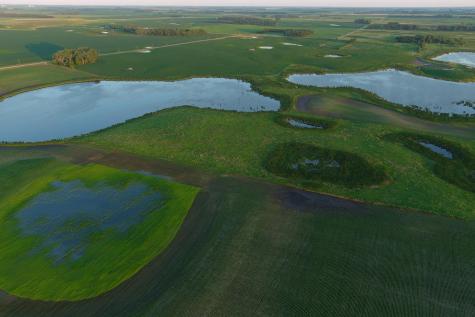 Tbd County Road 1 Hankinson ND 58041