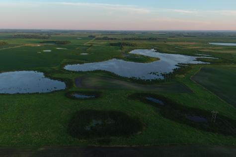 Tbd County Road 1 Hankinson ND 58041
