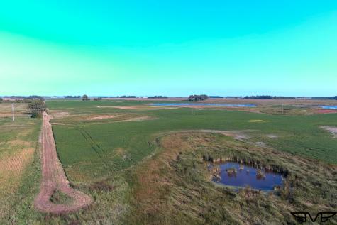 Tbd County Road 1 Hankinson ND 58041