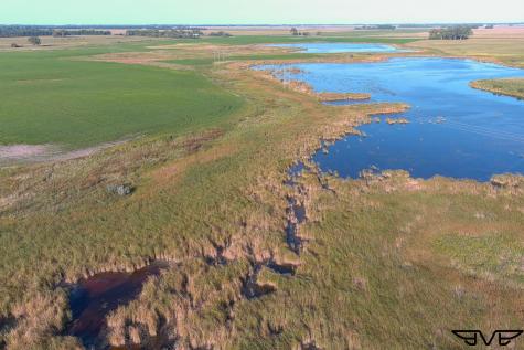 Tbd County Road 1 Hankinson ND 58041
