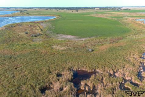 Tbd County Road 1 Hankinson ND 58041