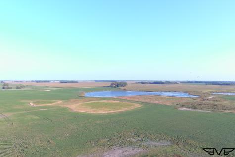 Tbd County Road 1 Hankinson ND 58041