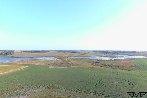Tbd County Road 1 Hankinson ND 58041