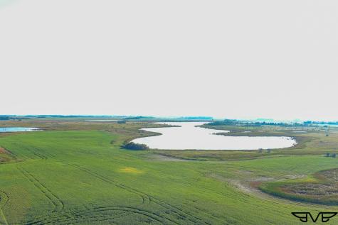 Tbd County Road 1 Hankinson ND 58041