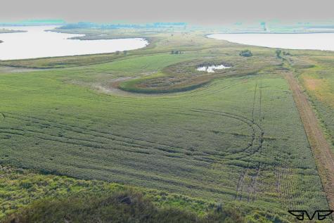Tbd County Road 1 Hankinson ND 58041