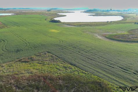 Tbd County Road 1 Hankinson ND 58041