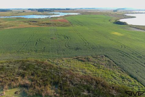 Tbd County Road 1 Hankinson ND 58041
