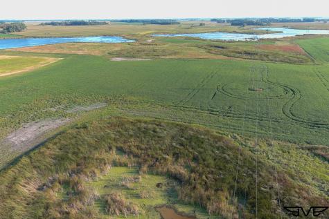 Tbd County Road 1 Hankinson ND 58041