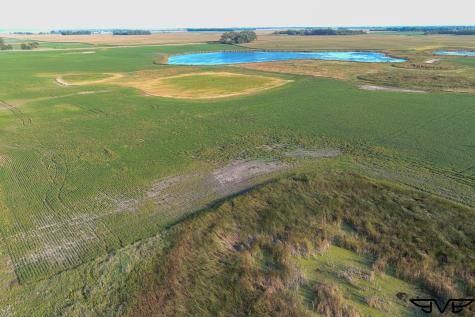 Tbd County Road 1 Hankinson ND 58041