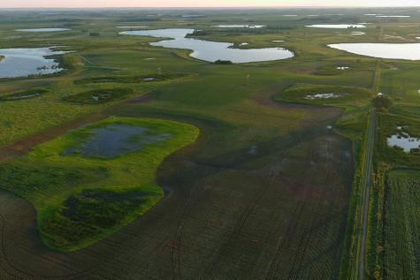 Tbd County Road 1 Hankinson ND 58041