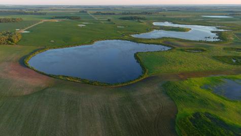 Tbd County Road 1 Hankinson ND 58041